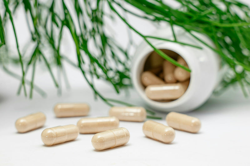 Beige Kapseln vor einer offenen weissen Dose und grünen Zweigen